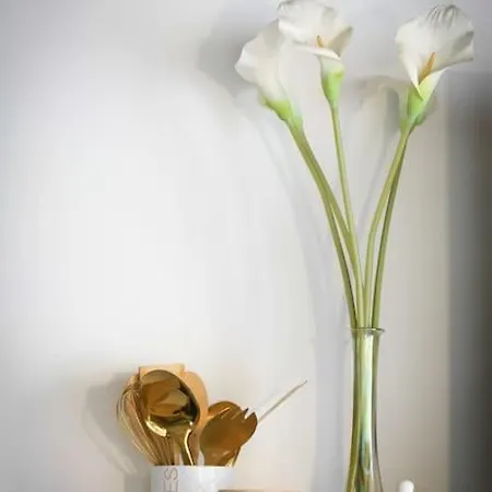 アパート Lumineux De 35m² En Centre-ville