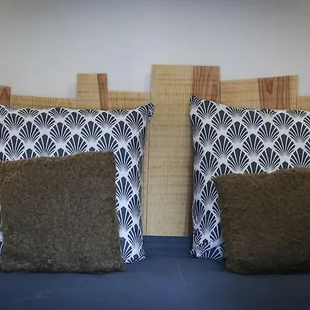 Lumineux De 35m² En Centre-ville *