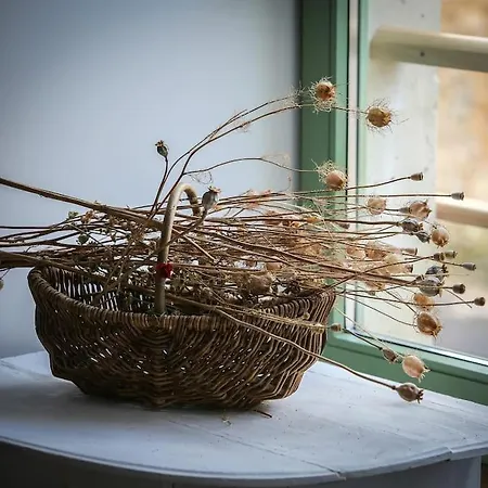 アパート Lumineux De 35m² En Centre-ville リュフェック