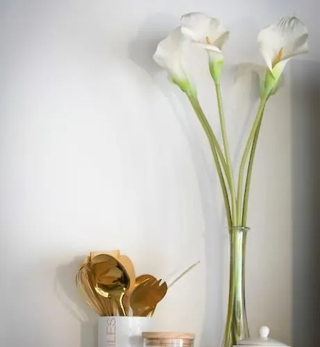 Apartamento Lumineux De 35m² En Centre-ville