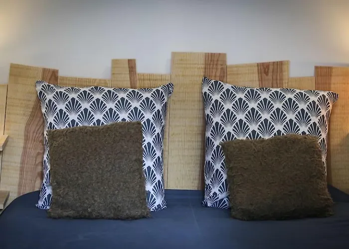 Lumineux De 35m² En Centre-ville *