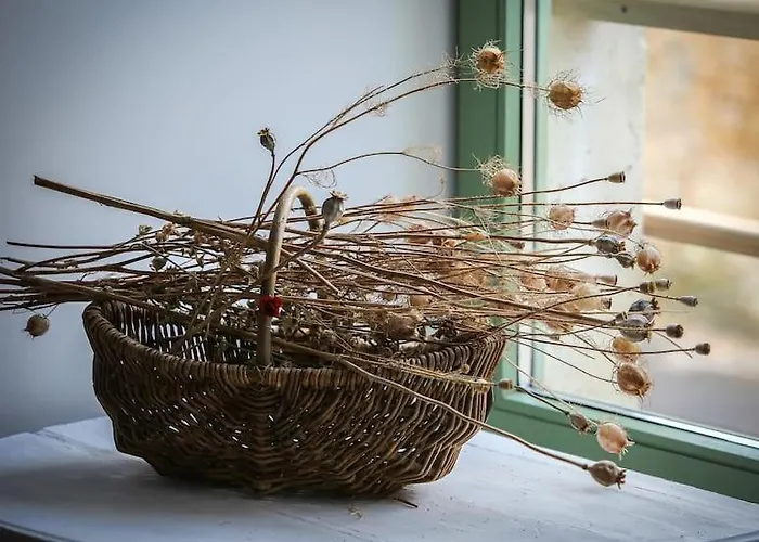 Apartamento Lumineux De 35m² En Centre-ville Ruffec (Charente)